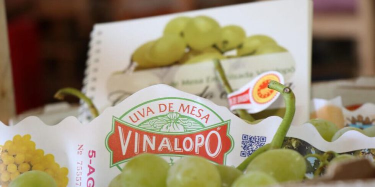 Uva embolsada vinalopo