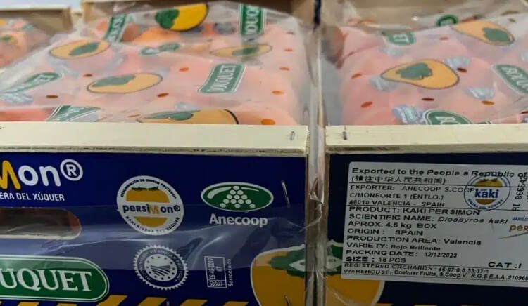 kaki Persimon-Anecoop