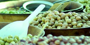 Aceituna