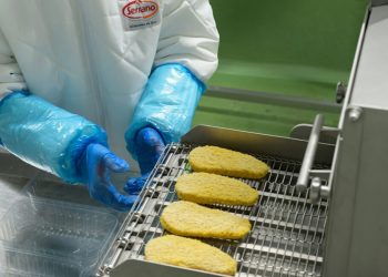 Nueva linea empanados-Carnicas Serrano