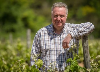 Pere Ferrer-Freixenet