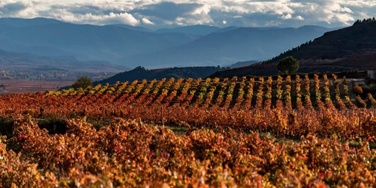 DOCa Rioja