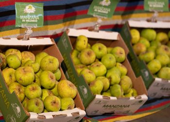 Spar Gran Canaria-manzana reineta Valleseco