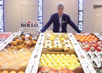 Antonio Alarcon-CEO Bollo Natural Fruit
