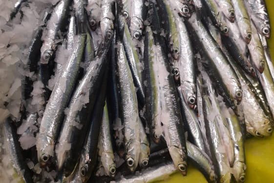 BM Supermercados-primera anchoa