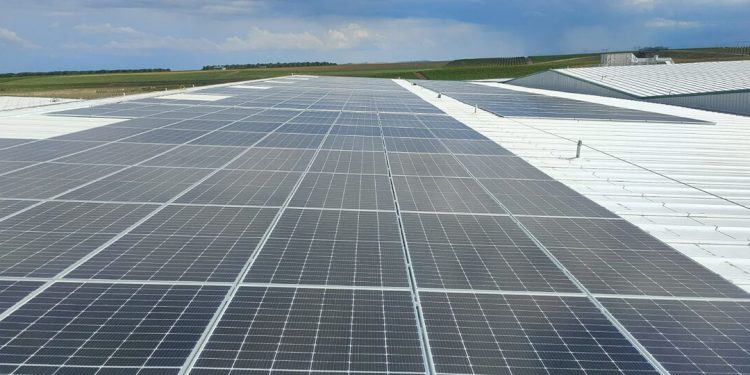 Fabrica Patatas Melendez