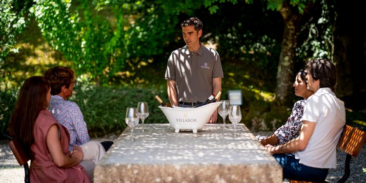 Enoturismo Masaveu Bodegas