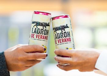 Heineken Ladron de Verano