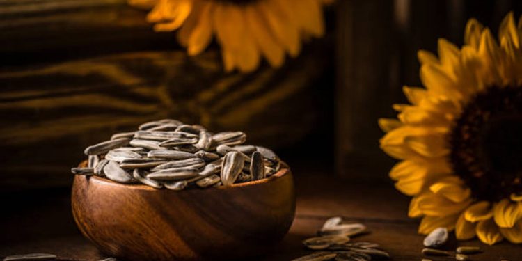 Pipas de girasol