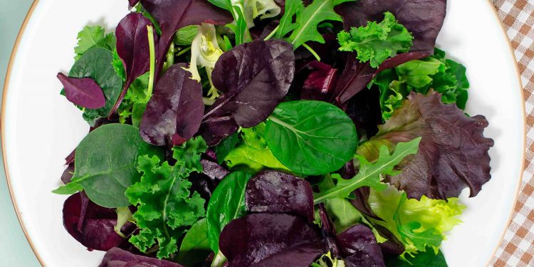 ensalada 7 Sabores