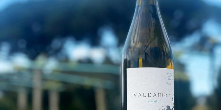 Valdamor-Finca
