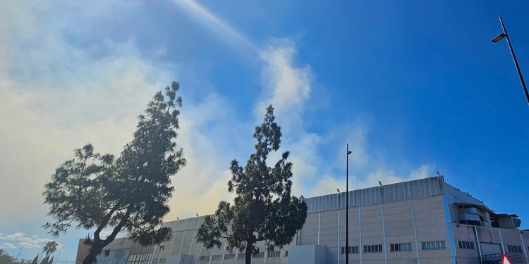 incendio Vicky Foods