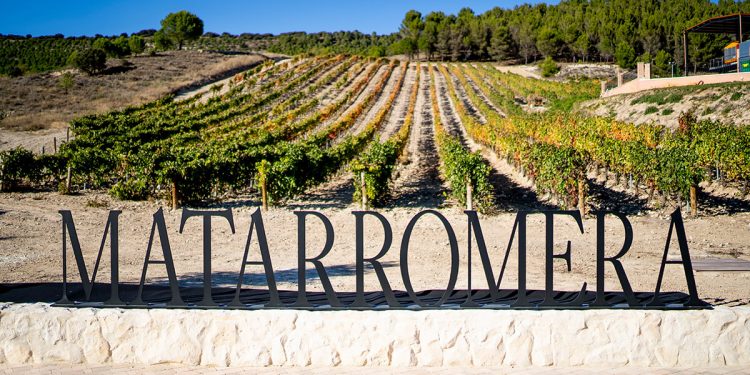 Bodega_Matarromera