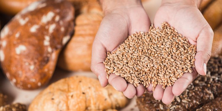 Alimentos sin gluten