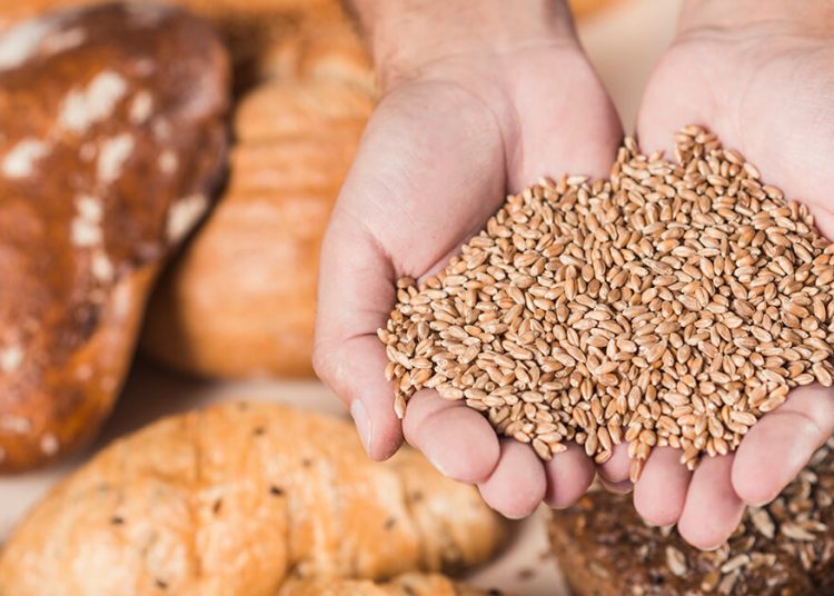 Alimentos sin gluten