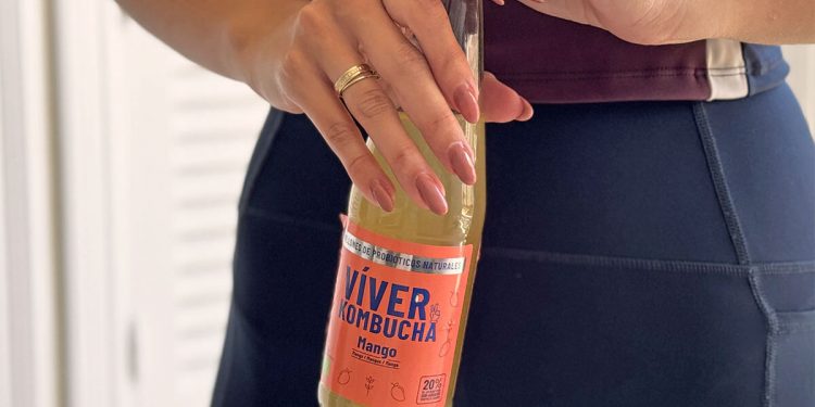 Viver Kombucha mango
