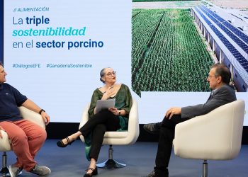 Expertos destacan cómo el sector porcino camina hacia la circularidad