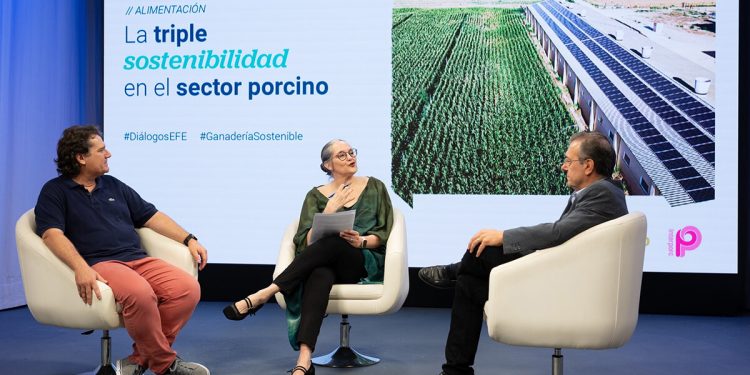 Expertos destacan cómo el sector porcino camina hacia la circularidad