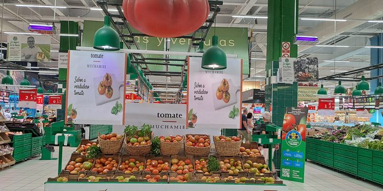 Alcampo promueve el tomate de Muchamiel en Alicante por cuarto año consecutivo