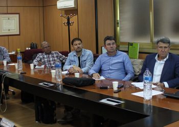 Consejo Sectorial de Aceite de Oliva de Cooperativas Agro-alimentarias de España