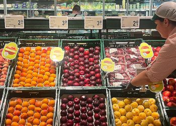 Consum aumenta la compra de fruta de hueso en un 20% para esta temporada