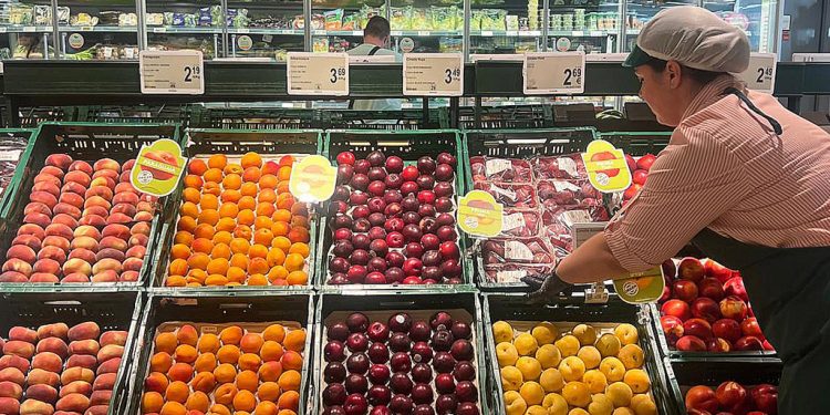 Consum aumenta la compra de fruta de hueso en un 20% para esta temporada