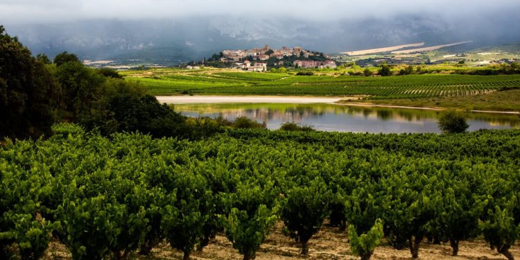 Rioja Viñedos Singulares