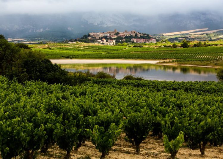 Rioja Viñedos Singulares