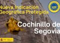 cochinillo de Segovia