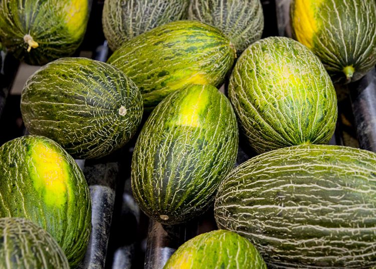 melón