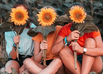 pipas de girasol Generacion Z