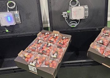 El proyecto europeo SISTERS impulsa innovaciones para reducir el desperdicio alimentario