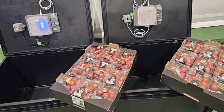 El proyecto europeo SISTERS impulsa innovaciones para reducir el desperdicio alimentario