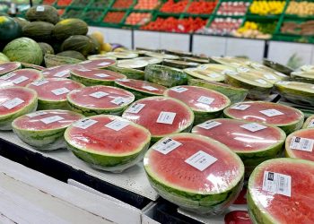 Mercadona refuerza su apuesta por la sandía nacional con más de 115.000 toneladas previstas para esta temporada