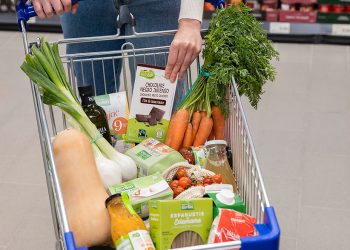 carro de compra de Aldi