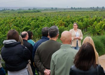 Bodegas Luzon Vendimia Abierta