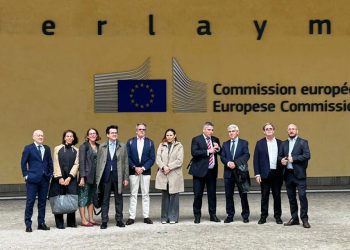 Misión Bruselas - asedas