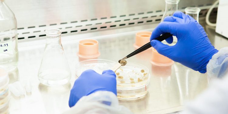 Pascual Innoventures