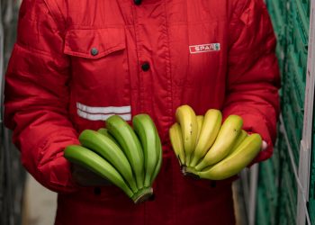 Spar Gran Canaria - platanos