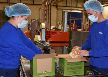 Trabajadores Galletas Gullon