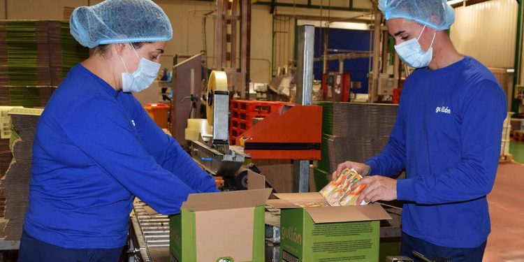 Trabajadores Galletas Gullon