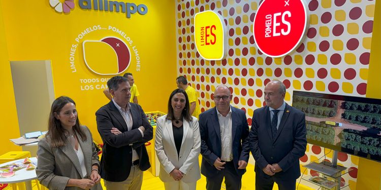 Presentación nueva imagen