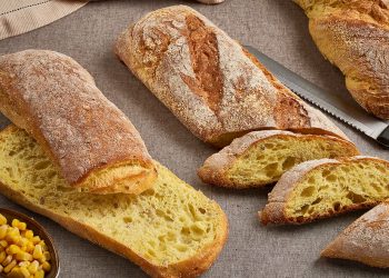 Chapata Panomix Maíz Tradicion - Zeelandia