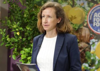 Elodie Perthuisot - Carrefour