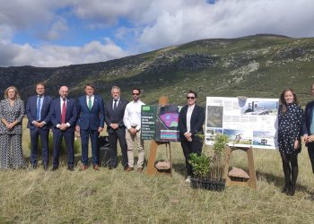 Galletas Gullón - Fuero de Brañosera