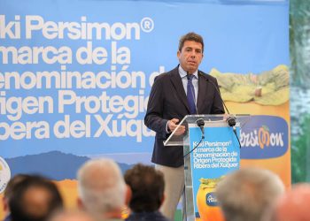 Kaki Ribera del Xuquer - Persimon