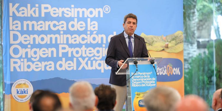 Kaki Ribera del Xuquer - Persimon