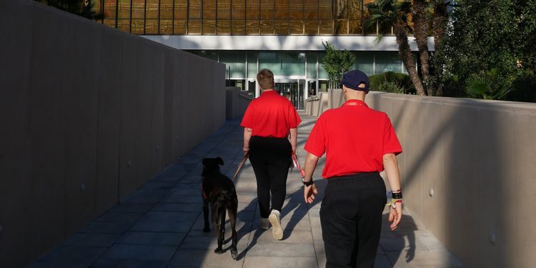 Nestle proyecto Pasear juntos es mejor