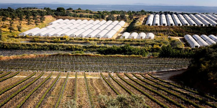 Senda - Instalaciones de Produccion