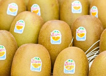 Zespri - Sinclair nueva etiqueta